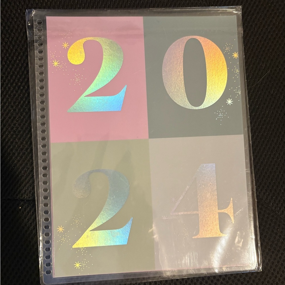 Erin Condren Pastel Pink Gray 2024 Holographic Dashboard Insert